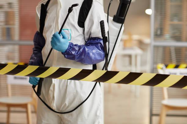 Professional Odor Removal technician working in Flanders, NY