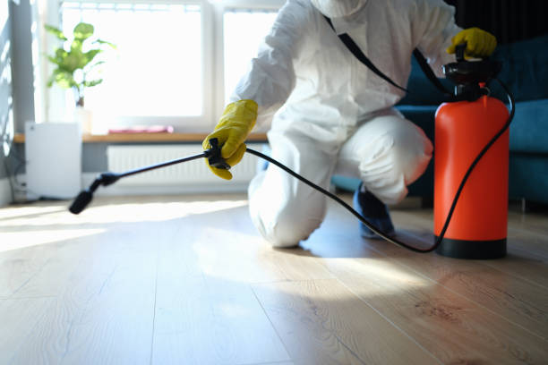 Reliable Odor Removal contractor in Flanders, NY by Dulley Family Biohazard Services